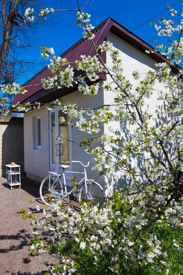 Hotel Ekonom-Domik Oděsa Exteriér fotografie