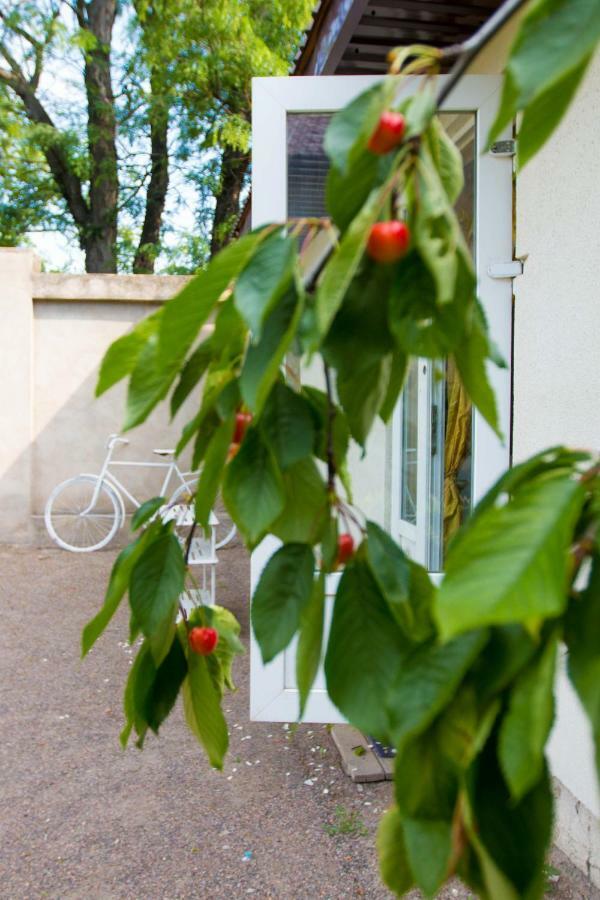 Hotel Ekonom-Domik Oděsa Exteriér fotografie